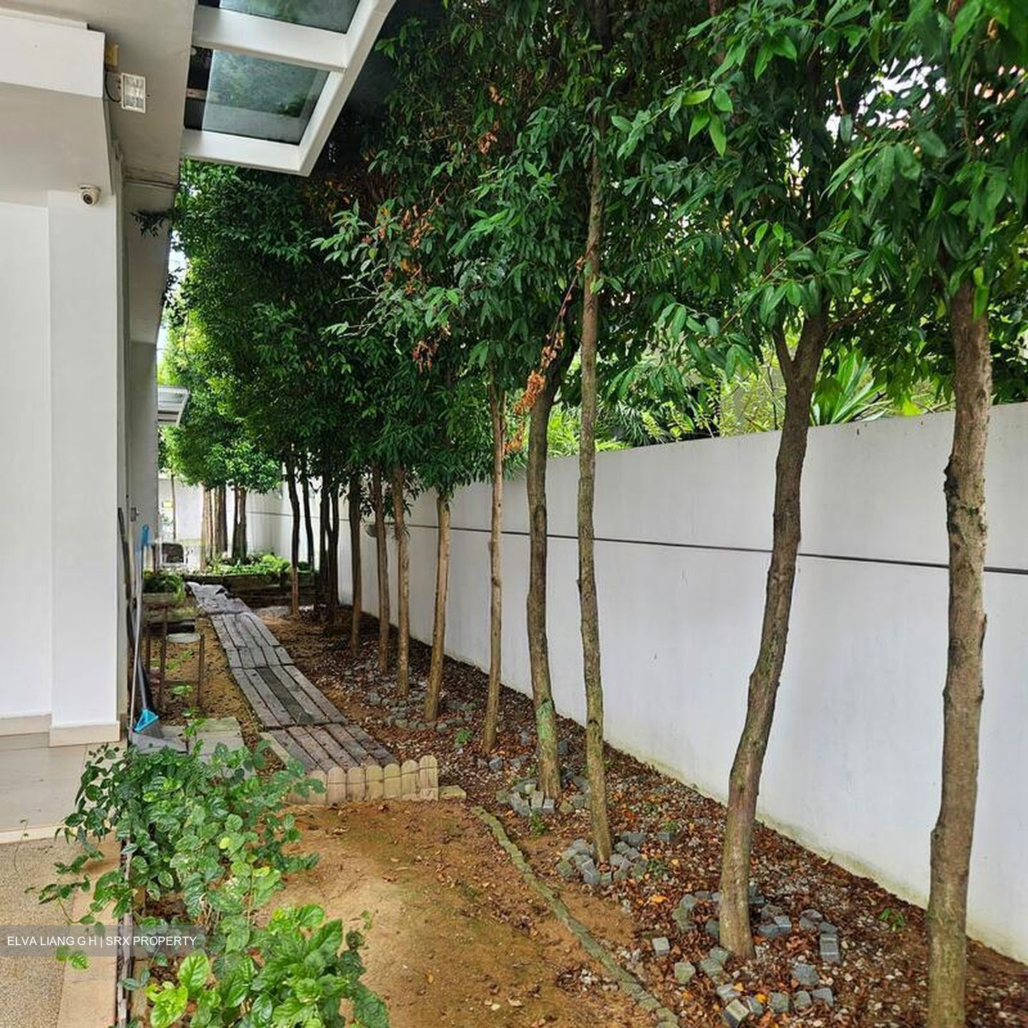 Bedok Pesari (D16), Semi-Detached #503193671
